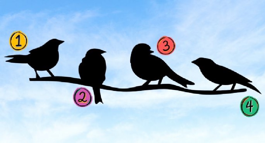 Dime qué pájaro te atrae más y te diré cuál es tu objetivo en la vida