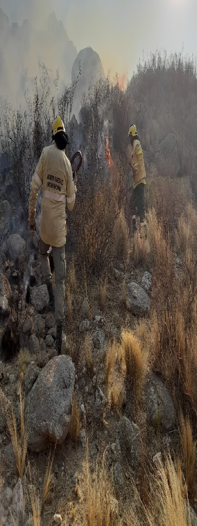 CATAMARCA: En cinco años se perdieron más de 92 mil hectáreas de bosque y áreas naturales a causa de los incendios