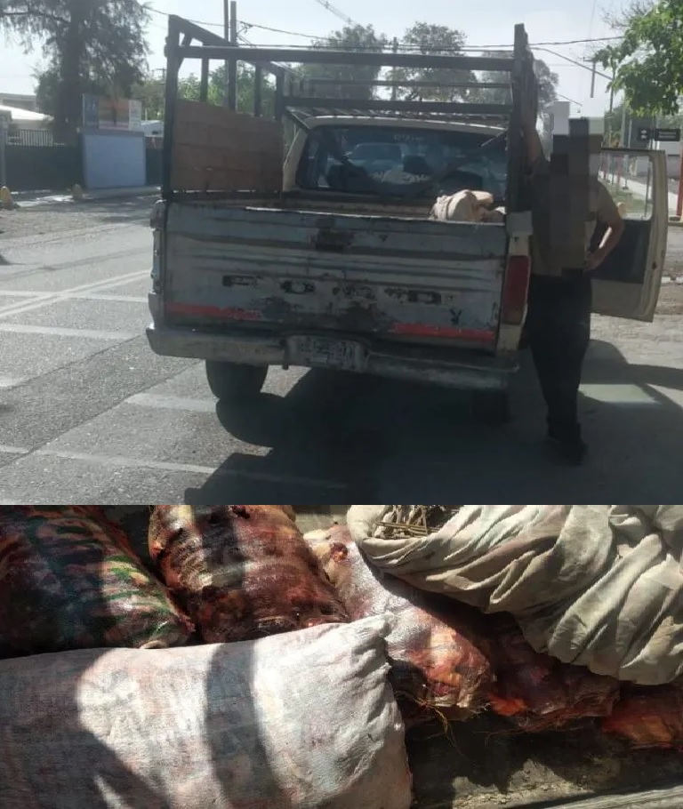 SAN JUAN: Carne de Caballo hay Tres meses de prisión para el culpable