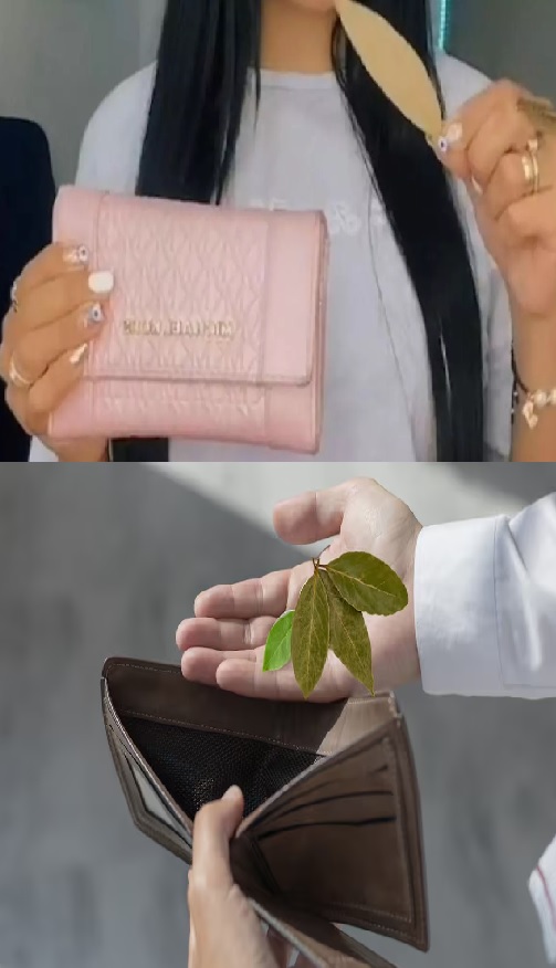Por qué hay que poner una hoja de laurel en la billetera