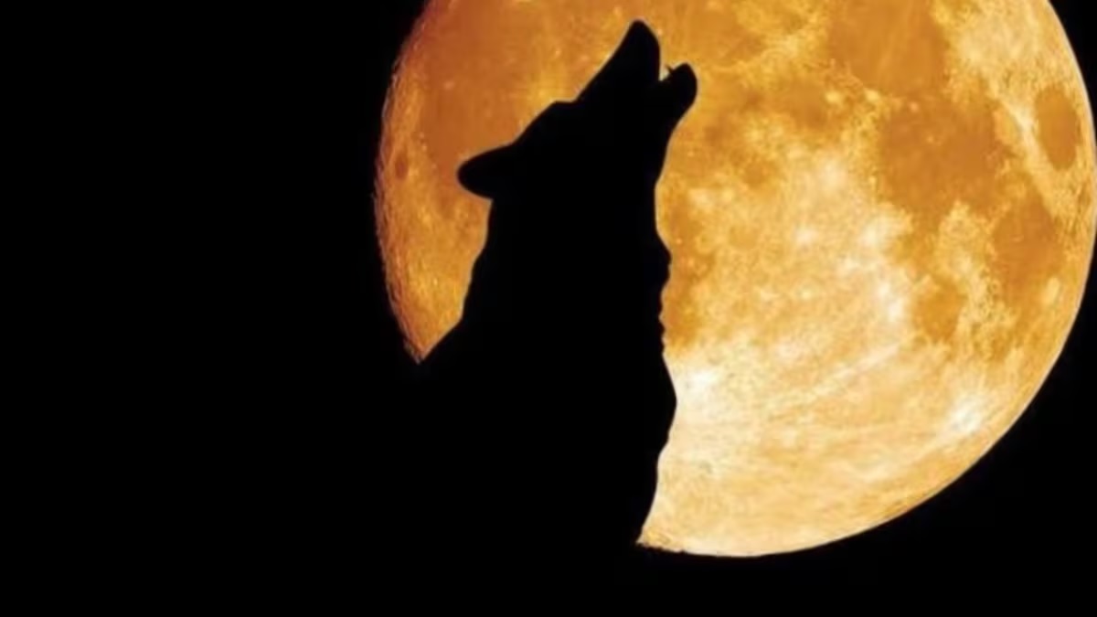 Luna Llena del Lobo: cuándo comienza y cuál es el significado espiritual