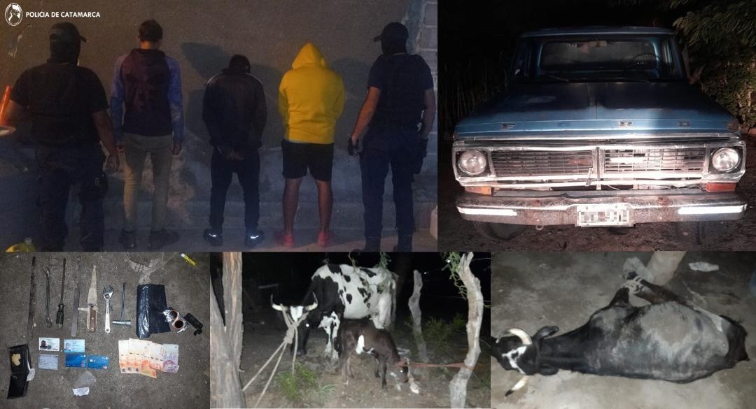 Arrestan a tres personas, secuestran una camioneta y recuperan animales vacunos en Pomán