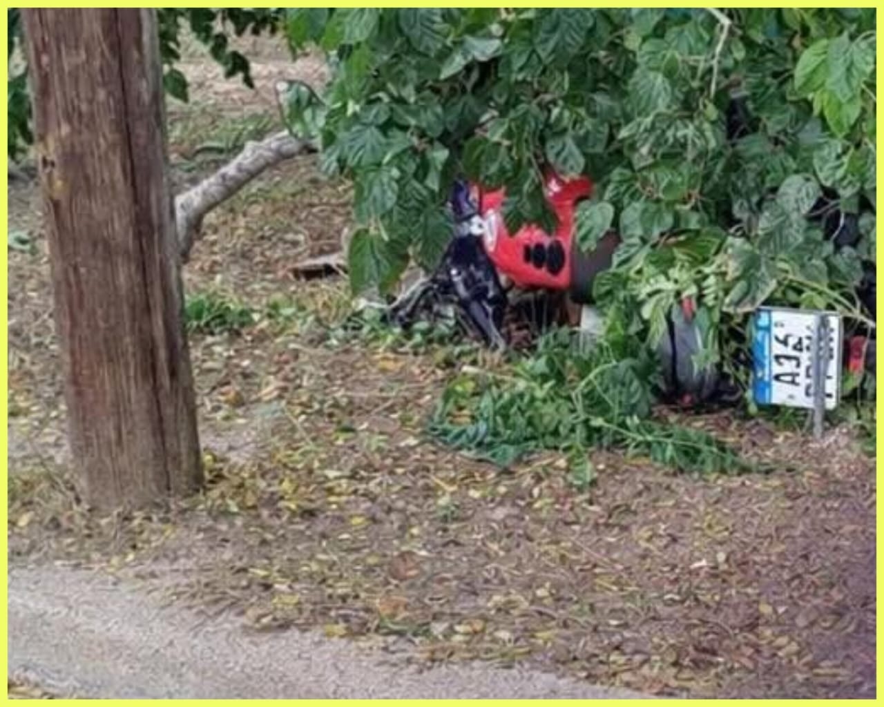 TRAGEDIA VIAL: MOTOCICLISTA PERDIÓ LA VIDA TRAS IMPACTAR CONTRA UN ÁRBOL