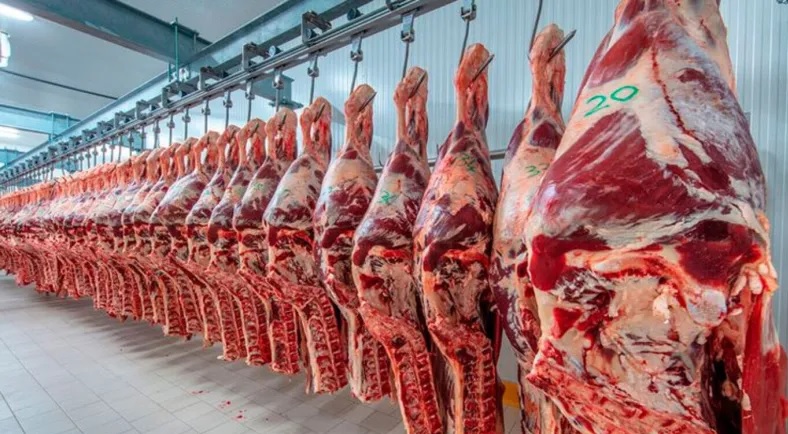 China rechaz&oacute; un env&iacute;o de carne argentina por antibi&oacute;tico prohibido: qu&eacute; se sabe hasta ahora