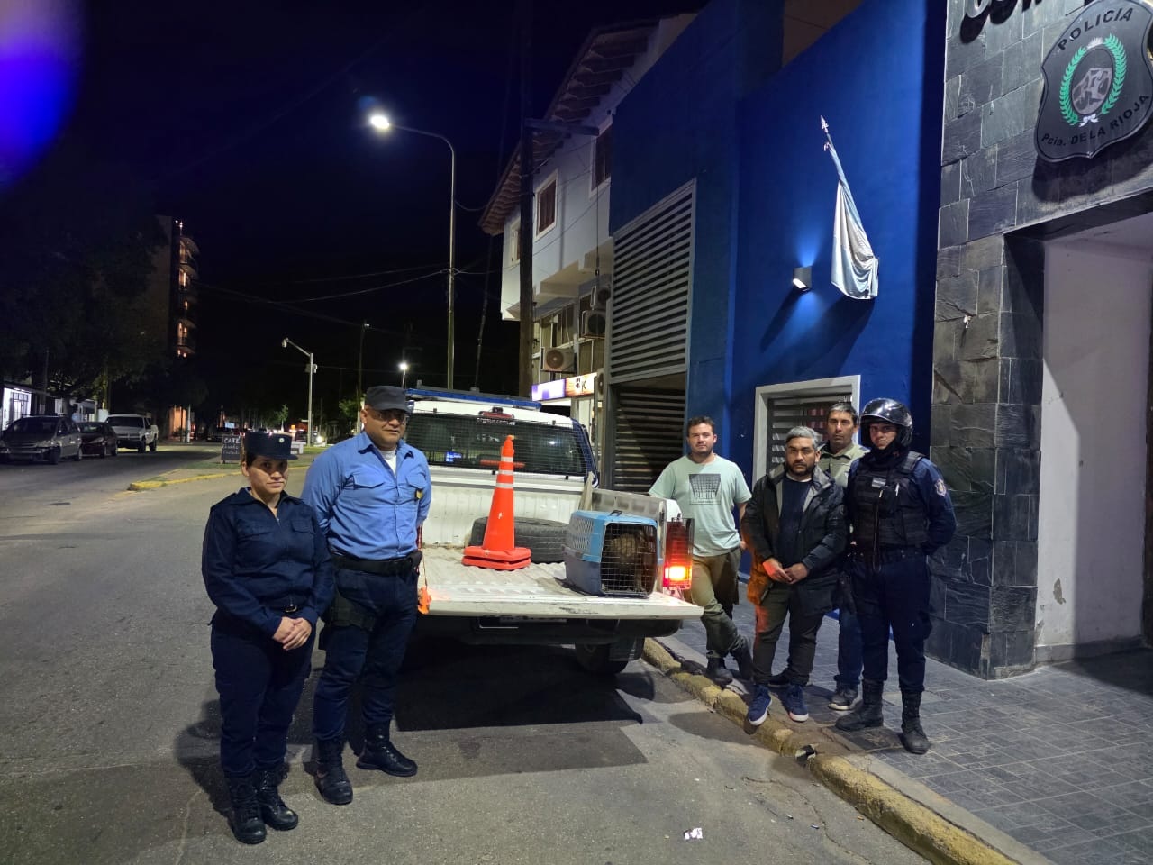 EL MUNICIPIO CAPITAL RESCATÓ A UNA PICHON CONDOR ANDINO