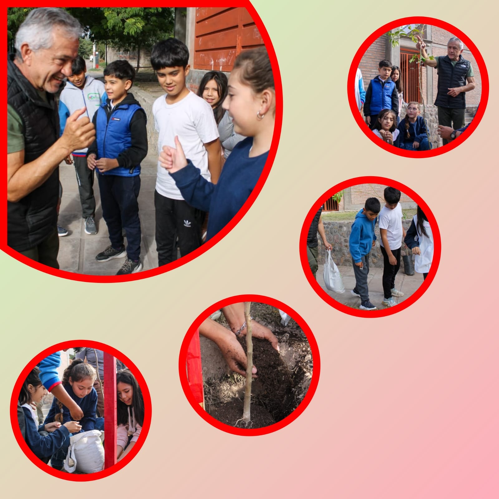 COMUNIDAD VERDE: EL MUNICIPIO CONTINÚA PLANTANDO EN NUESTRA CIUDAD