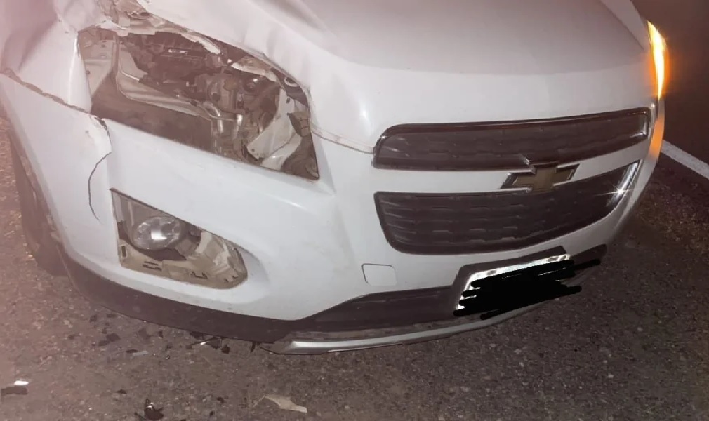 NUEVAMENTE ANIMAL SUELTO EN LA RUTA 38 PROVOCO ACCIDENTE VIAL 