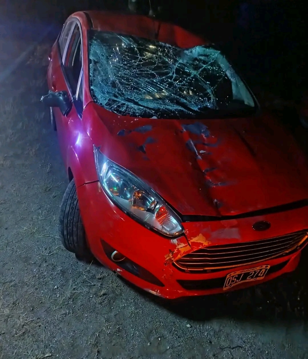 Susto en la Ruta 75 tras el choque de un autom&oacute;vil con un caballo