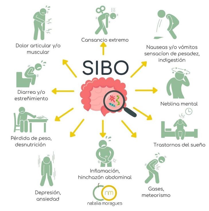 Qué es y cuáles son los síntomas del SIBO