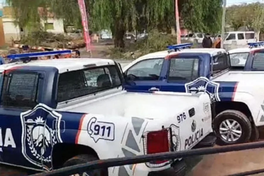 Dos detenidos por un robo a una mujer