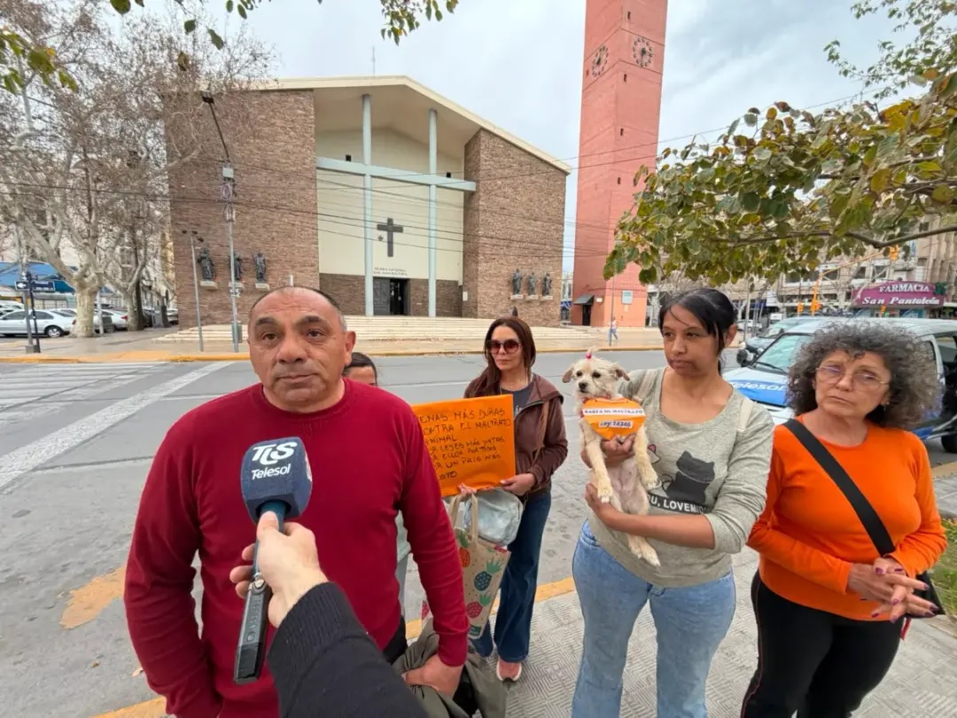 SAN JUAN: Piden endurecer penas por maltrato animal y revisar la ley vigente
