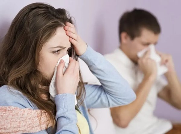 R&eacute;cord de Gripe A: en solo 30 semanas se registraron 790.523 contagios