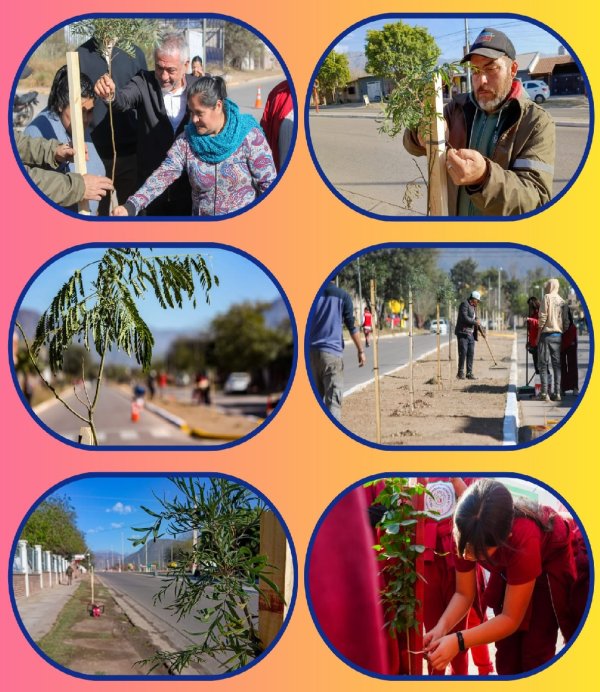 M&Aacute;S DE 200 &Aacute;RBOLES PLANTADOS DURANTE AGOSTO