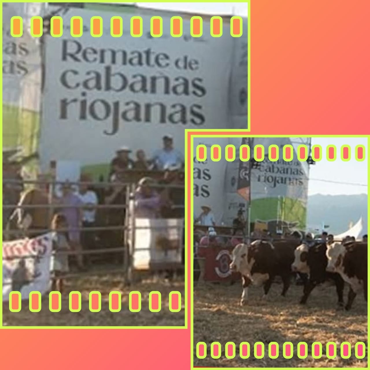 El Gobierno Provincial, a través de sus empresas estatales Kayne y Caudillos Riojanos, realizará el próximo 19 de noviembre