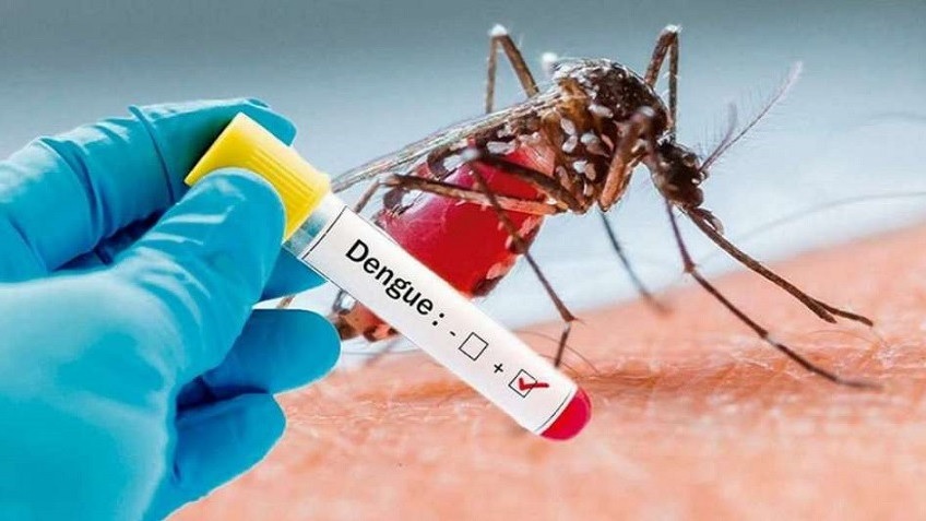 Se confirma un caso de dengue en la zona oeste de la Capital