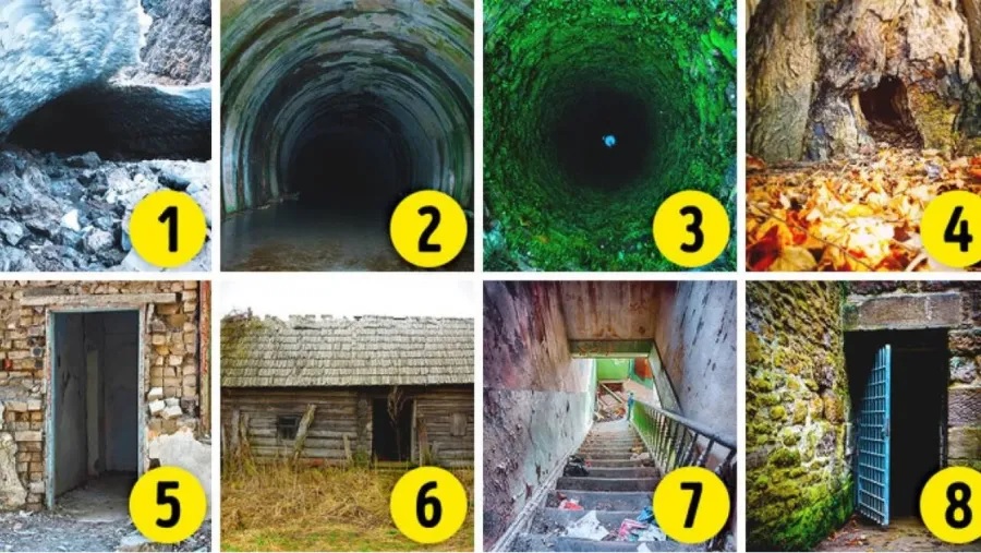 La imagen que más miedo te provoca revela un costado oculto de tu personalidad