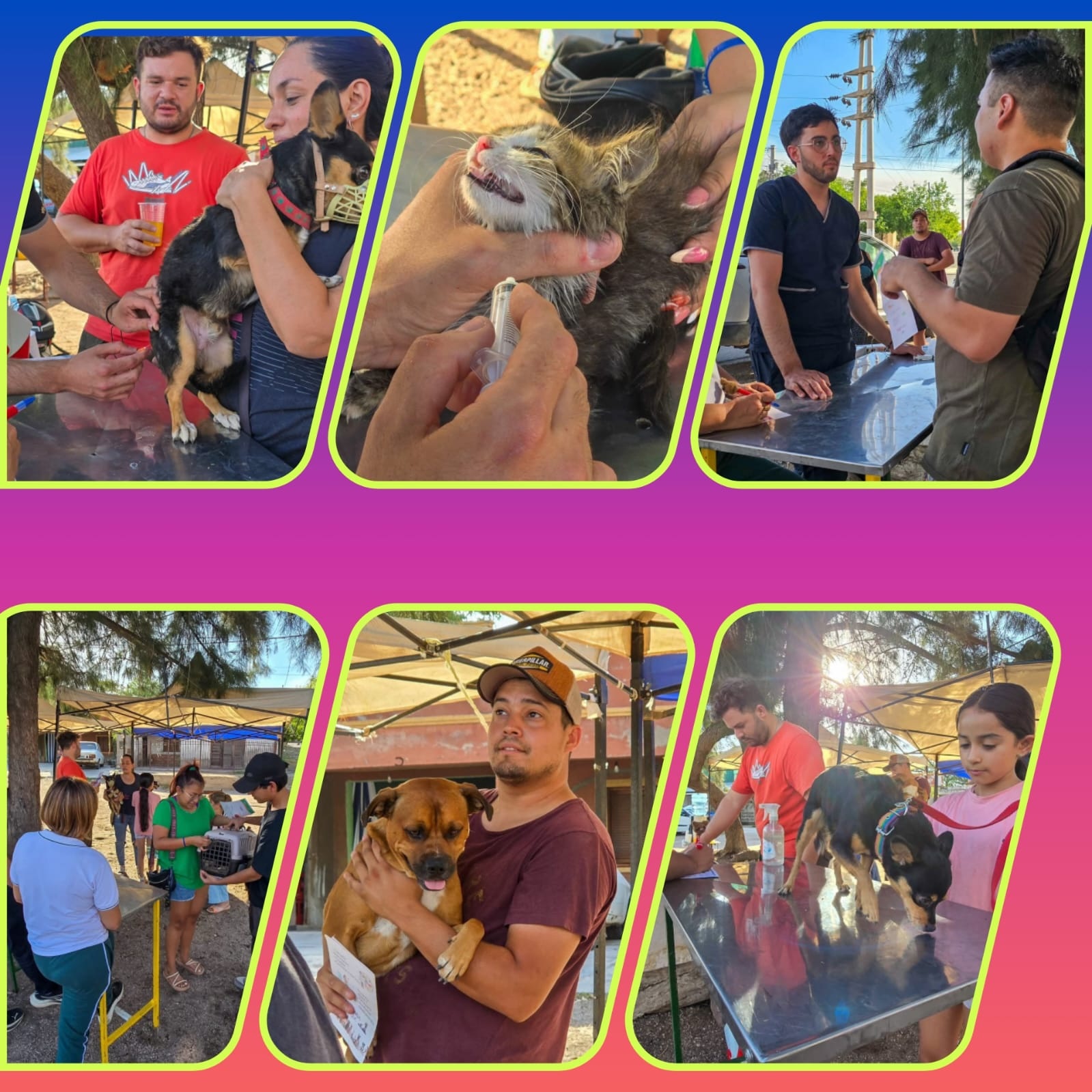 Misión cumplida: Más de 50 peluditos del Barrio San Vicente 